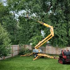 Best Stump Grinding and Removal  in Highland Heights, OH