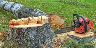 Best Emergency Tree Removal  in Highland Heights, OH