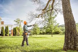 Mulching Services in Highland Heights, OH