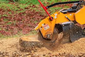 Best Seasonal Cleanup (Spring/Fall)  in Highland Heights, OH